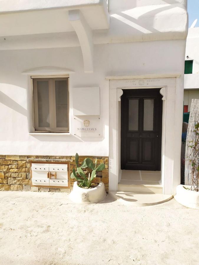 Narcissus Luxury Suites Naxos City 外观 照片