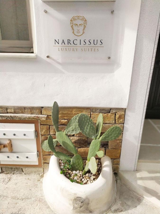 Narcissus Luxury Suites Naxos City 外观 照片