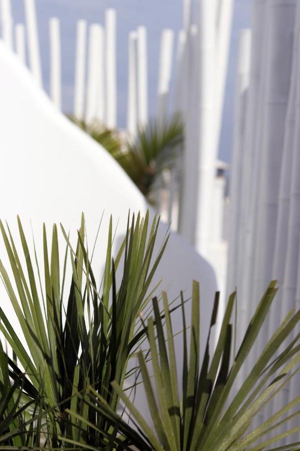 Narcissus Luxury Suites Naxos City 外观 照片